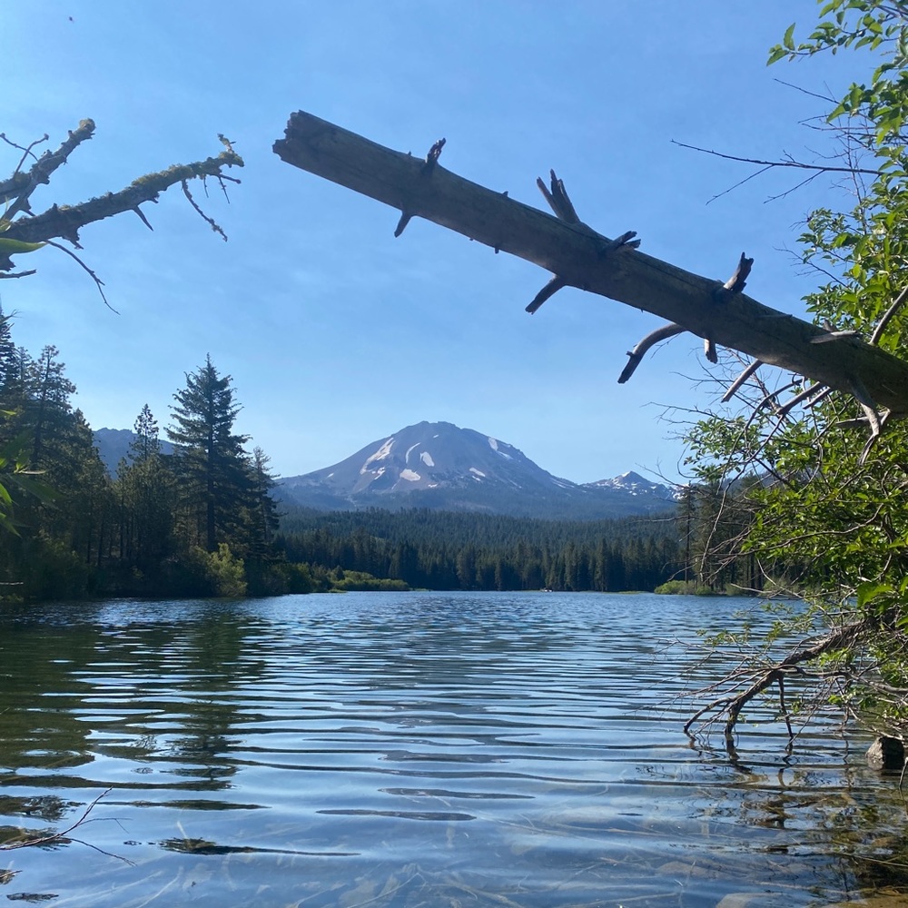 Meet your Posher, Kc